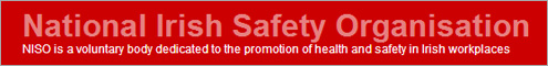National Irish Safety Organisation National Irish Safety Organisation